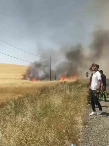 Kozluk’ta 100 dönüm buğday tarlası küle döndü
