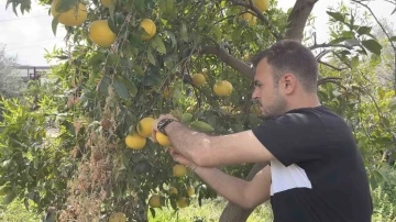 Küçükçekmece Belediyesi’nden Hatay’daki üreticilere destek
