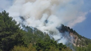 Kumluca’da orman yangını
