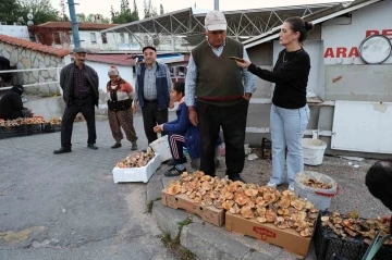 Kuraklığa rağmen Çıntar bolluğu
