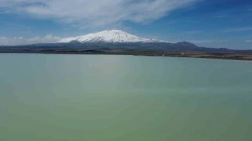 Kuş cenneti Arin Gölü’nde kuraklık tehlikesi
