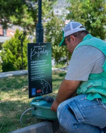 Kuşadası Belediyesi’nden sokak hayvanlarına su ve mama desteği
