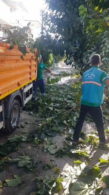 Kuşadası Belediyesi’nin kış hazırlıkları işe yaradı
