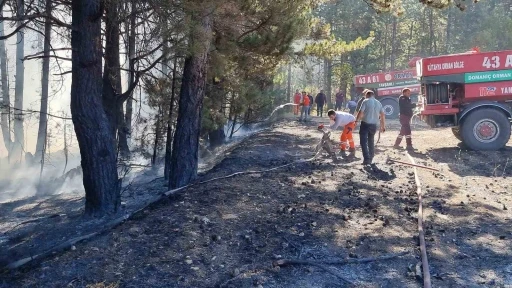 Kütahya’da anız yangını ormana sıçradı