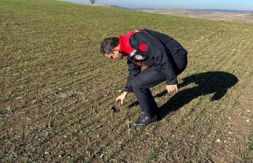 Kütahya’da hububat üretim alanlarında arazi kontrolleri
