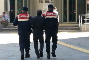 Kütahya’da jandarmadan mercek operasyonu
