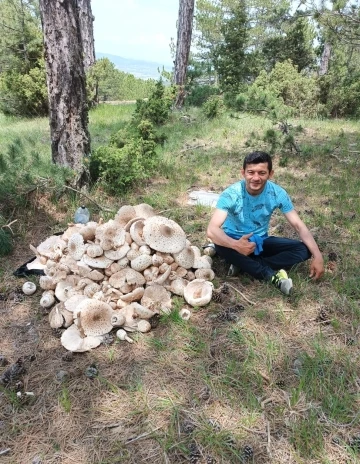 Kütahya’da yağışlar mantara bereket, sofralara lezzet getirdi