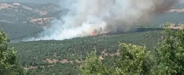 Kütahya’daki orman yangını söndürülmeye çalışılıyor
