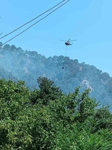 Kuyucak’taki orman yangınının sebebi belli oldu
