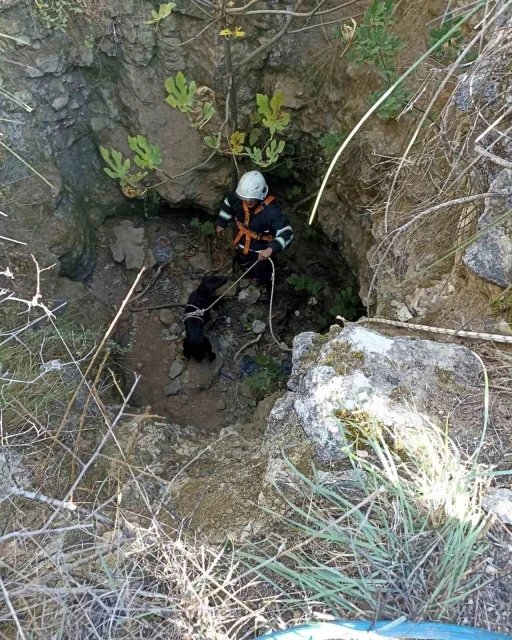 Kuyuya düşen köpeği itfaiye kurtardı
