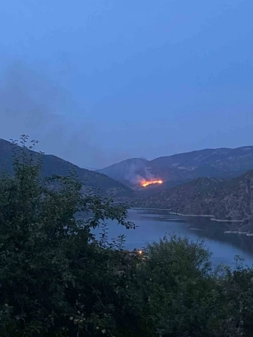 Laçin’de orman yangını
