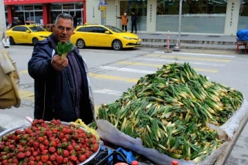 Lezzet ve şifa deposu çiriş otu tezgahlarda yerini aldı