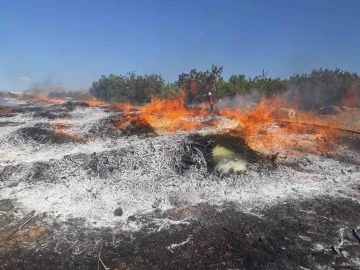 Malatya’da iki ayrı noktada çıkan yangın korkuttu
