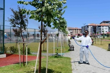 Mamak Belediyesi’nden çevre dostu biyolojik mücadele
