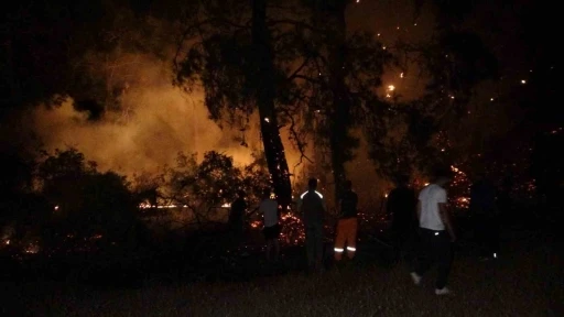 Manavgat’ta korkutan orman yangını büyümeden söndürüldü
