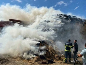 Mandıraya yıldırım düştü: Yüzlerce saman balyası küle döndü
