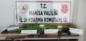 Manisa’da 45 kök kenevir ve 30 gram esrar ele geçirildi
