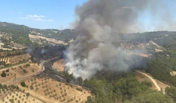 Manisa’da bir orman yangını daha
