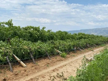 Manisa’daki fırtına ve dolunun yol açtığı zarar tespit edilmeye başlandı
