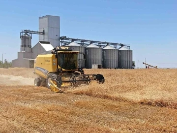 Mardin’de biçerdöverlerin hasat biçme fiyatı belli oldu
