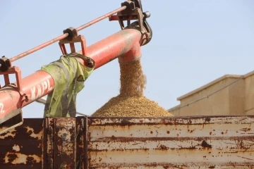 Mardin’de çiftçiler hububatta rekolteden memnun
