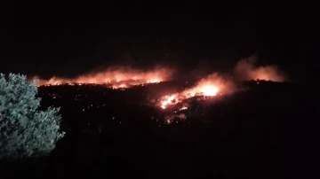 Mardin’de gece saatlerinde korkutan yangın kontrol altına alındı
