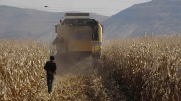 Mardin’de kuraklık rekolteyi yüzde 50 oranında düşürebilir
