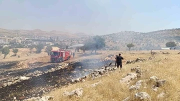 Mardin’de ormanlık alanda çıkan yangın söndürüldü
