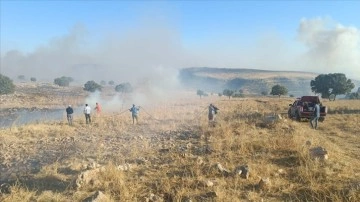 Mardin'de çıkan orman ve örtü yangını kontrol altına alındı