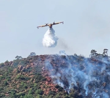 Marmaris’te orman yangınıyla ilgili 1 kişi gözaltına alındı