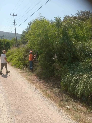 Marmaris’te yangına karşı ağaçlar budanıyor
