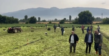 Maydonoz tarlasına yıldırım düştü...Ecel ekmek peşindeyken yakaladı