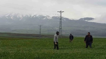 Mayıs ayında kar yağdı, vatandaş yeniden soba kurdu