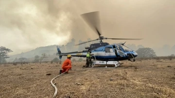 Meksika’da orman yangını: 1 ölü
