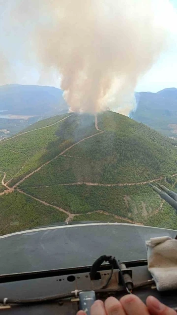 Menderes’te orman yangını
