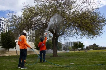 Mersin’de haşere ile mücadale çalışmaları hız kazandı
