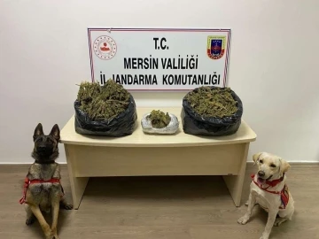 Mersin’de uyuşturucu operasyonu: 2 gözaltı
