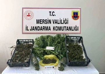 Mersin’de uyuşturucu operasyonu: 3 gözaltı
