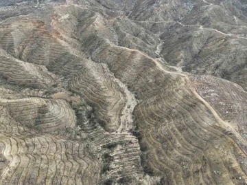 Mersin’de yanan orman sahasında ağaçlandırma çalışmaları tamamlandı
