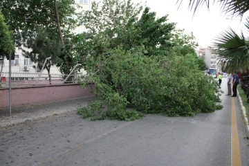 Meteoroloji’den Aydın’a kuvvetli rüzgar ve fırtına uyarısı
