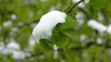 Meteoroloji’den &quot;zirai don&quot; uyarısı
