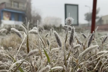 Meteorolojiden Diyarbakır için ‘zirai don’ uyarısı
