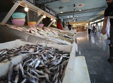 Mezitli’nin ikinci balık pazarı açıldı