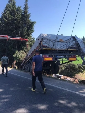 Milas’ta balık yemi yüklü tır tarlaya uçtu
