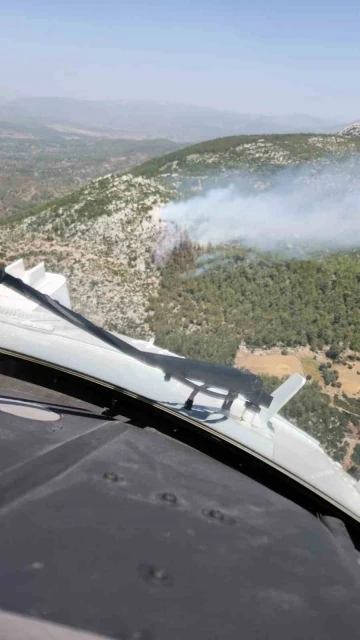 Milas’ta orman yangını
