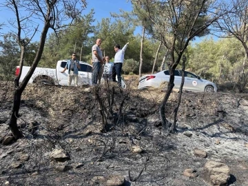 Milas yangınında 13 dekar tarım alanı zarar gördü
