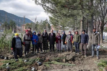 Millet Bahçesi’nde peyzaj çalışmaları devam ediyor