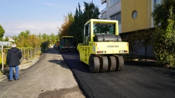 Mimar Sinan Mahallesinde asfalt çalışması
