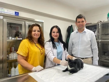 Minik Patiler Kliniği’nde bugüne kadar bin kedi kısırlaştırıldı
