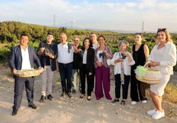 Mudanya Çağrışan’da bağbozumu zamanı